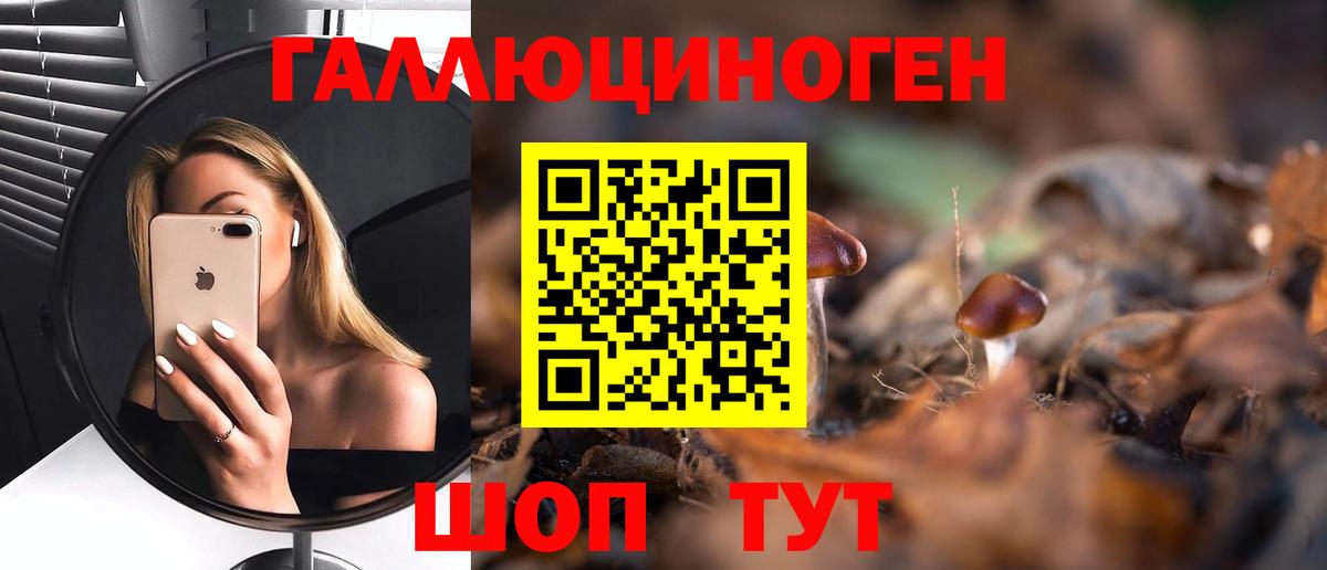 Псилоцибиновые грибы Psilocybe  Вход с VPN  Сердобск 